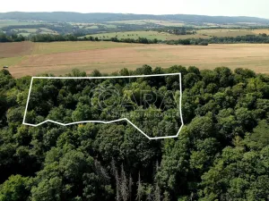Prodej sadu/vinice, Liteň - Běleč, 9074 m2
