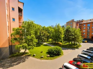 Prodej bytu 2+1, Brno, Křížkovského, 65 m2