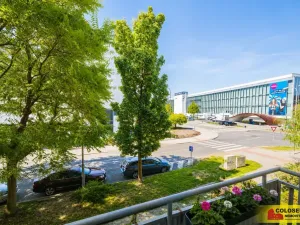 Prodej bytu 2+1, Brno, Křížkovského, 65 m2