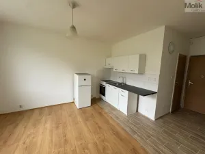 Pronájem bytu 1+1, Most, Marš. Rybalka, 35 m2