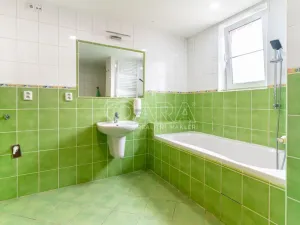 Prodej bytu 3+kk, Ústí nad Labem - Střekov, Purkyňova, 62 m2