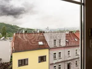 Prodej bytu 3+kk, Ústí nad Labem - Střekov, Purkyňova, 62 m2