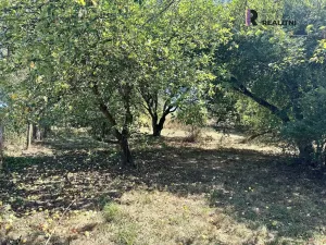 Prodej rodinného domu, Moravská Třebová - Udánky, 110 m2