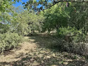 Prodej rodinného domu, Moravská Třebová - Udánky, 110 m2