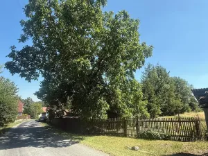 Prodej rodinného domu, Mladý Smolivec, 200 m2