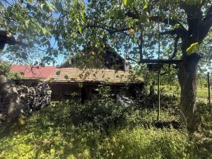 Prodej rodinného domu, Mladý Smolivec, 200 m2