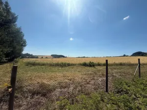 Prodej rodinného domu, Mladý Smolivec, 200 m2