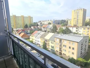 Prodej bytu 1+kk, Brno, Božetěchova, 21 m2
