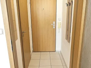 Prodej bytu 1+kk, Brno, Božetěchova, 21 m2