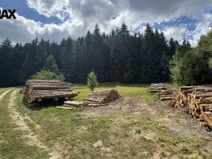 Prodej pozemku pro bydlení, Borušov, 1387 m2