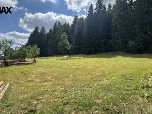 Prodej pozemku pro bydlení, Borušov, 1387 m2