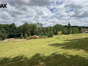 Prodej pozemku pro bydlení, Borušov, 1387 m2
