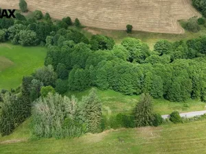 Prodej louky, Borušov, 6111 m2