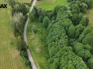Prodej louky, Borušov, 6111 m2