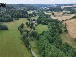 Prodej louky, Borušov, 6111 m2