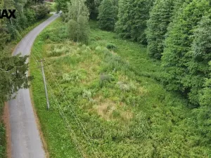 Prodej louky, Borušov, 6111 m2