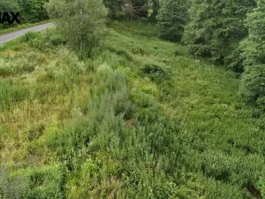 Prodej louky, Borušov, 6111 m2