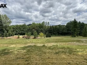 Prodej pozemku pro bydlení, Borušov, 990 m2