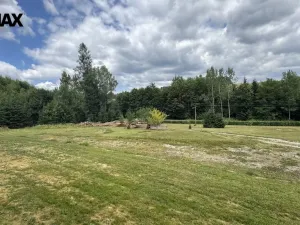 Prodej pozemku pro bydlení, Borušov, 990 m2