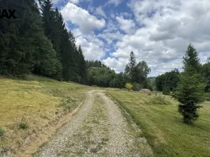 Prodej pozemku pro bydlení, Borušov, 990 m2