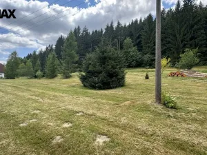 Prodej pozemku pro bydlení, Borušov, 805 m2