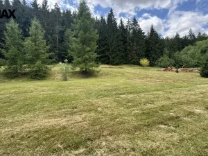 Prodej pozemku pro bydlení, Borušov, 960 m2