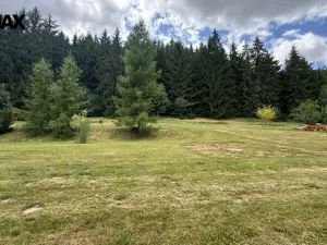 Prodej pozemku pro bydlení, Borušov, 960 m2