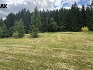 Prodej pozemku pro bydlení, Borušov, 960 m2