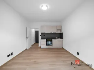 Pronájem bytu 1+kk, Brno - Zábrdovice, Bratislavská, 26 m2