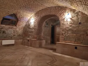 Pronájem obchodního prostoru, Olomouc, Sokolská, 95 m2