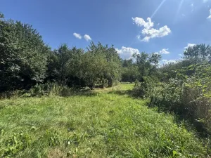Prodej rodinného domu, Vidnava, Svobodova, 185 m2