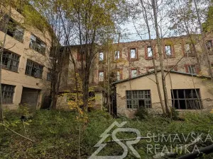 Prodej komerční, Rejštejn, Náměstí Svobody, 10000 m2