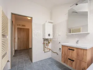 Prodej bytu 1+kk, Písek - Václavské Předměstí, Hostivítova, 30 m2