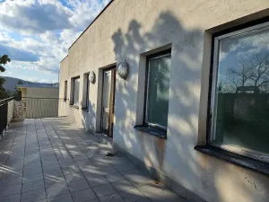 Dražba vily, Brno, Lipová, 696 m2