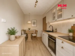 Prodej rodinného domu, Velké Albrechtice, 215 m2
