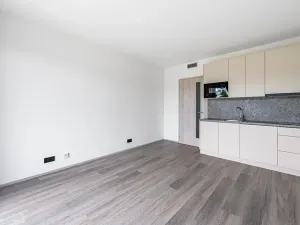 Pronájem bytu 1+kk, Praha, Na Zlíchově, 26 m2