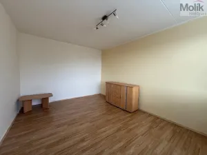 Pronájem bytu 1+1, Litvínov - Horní Litvínov, U Zámeckého parku, 35 m2