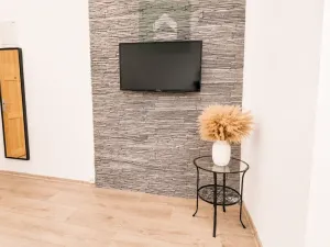 Pronájem bytu 2+kk, Plzeň, Guldenerova, 43 m2