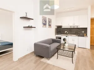Pronájem bytu 2+kk, Plzeň, Guldenerova, 43 m2