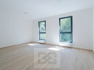 Pronájem bytu 1+kk, Liberec, Vítězná, 37 m2