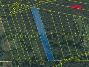 Prodej lesa, Slabčice - Písecká Smoleč, 48910 m2