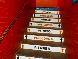 Pronájem komerční nemovitosti, Praha - Stodůlky, Mukařovského, 347 m2