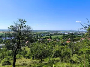 Prodej zahrady, Žalhostice, 4185 m2
