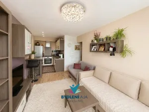 Prodej bytu 2+kk, Teplice, Trnovanská, 48 m2