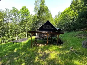 Dražba chaty, Těchonín, 17 m2