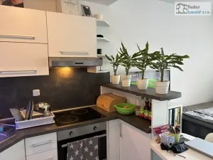 Pronájem bytu 1+kk, Brno, Pastviny, 58 m2