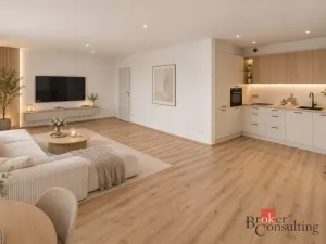 Pronájem bytu 2+kk, Plzeň - Jižní Předměstí, Železná, 62 m2
