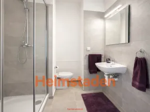 Pronájem bytu 1+1, Frýdek-Místek - Frýdek, K Hájku, 38 m2