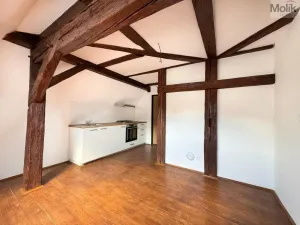 Pronájem bytu 2+kk, Osek, Tovární, 36 m2