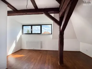 Pronájem bytu 2+kk, Osek, Tovární, 36 m2